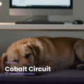 Cobalt Circuit - The Grind