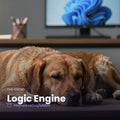 Logic Engine - The Grind