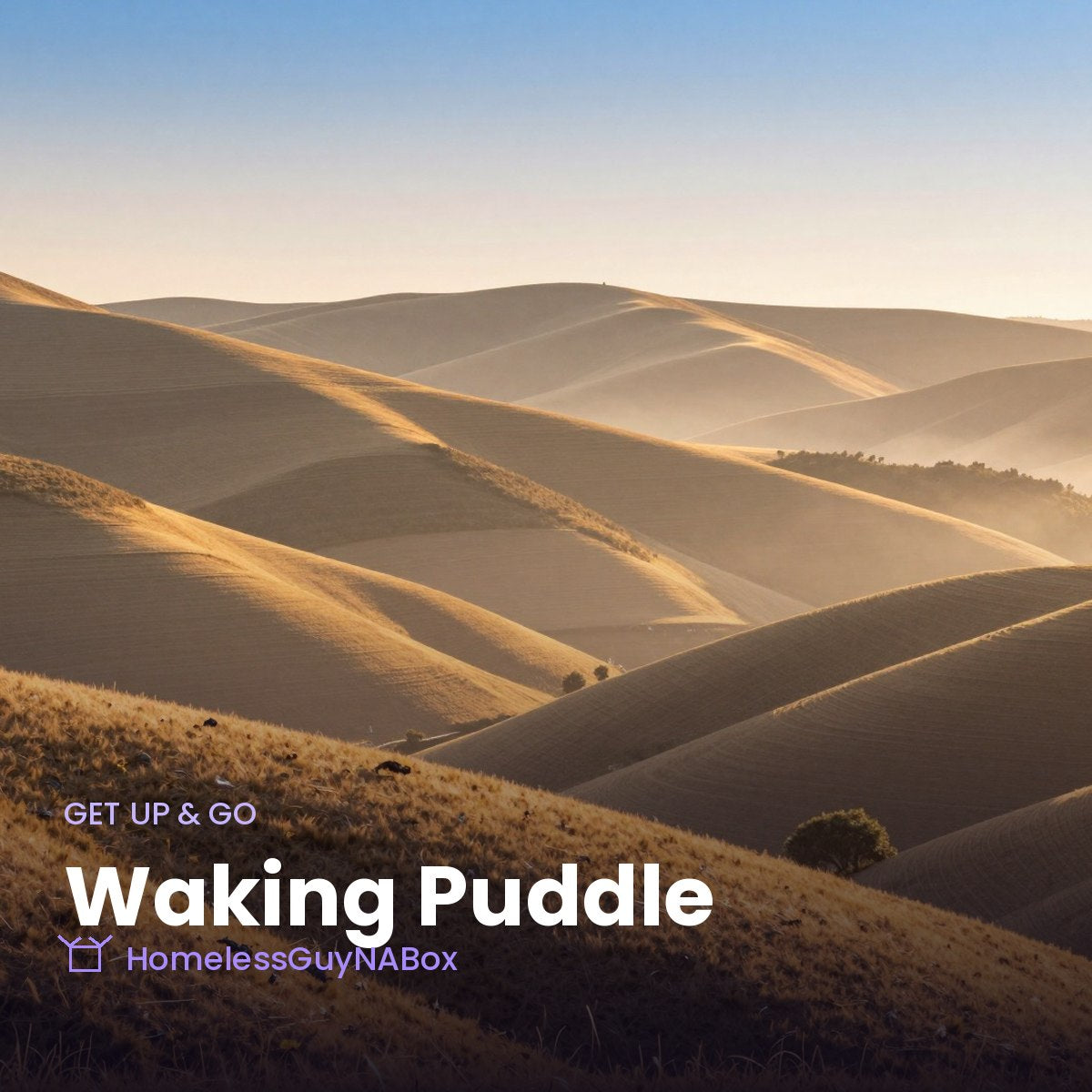 Waking Puddle - Get Up & Go